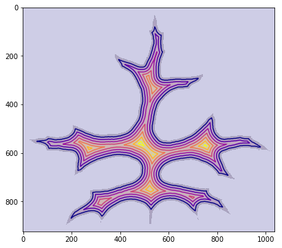 lerinc measures the distance from the center of a leaf