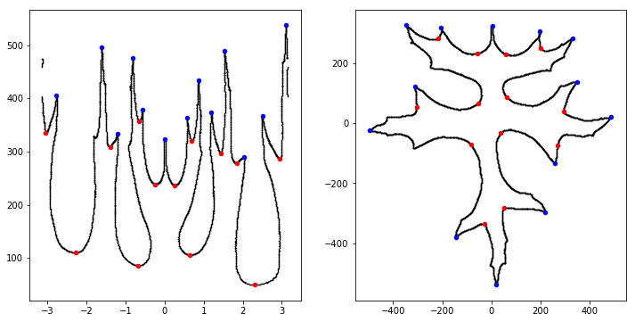 lorinc measures the minima and maxima of a leaf plotted in polar coordinates