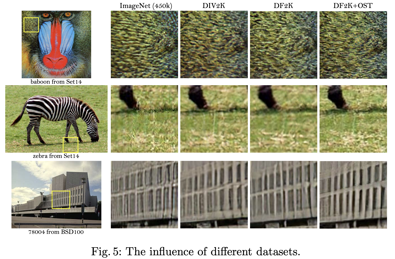 Influence of Different Datasets