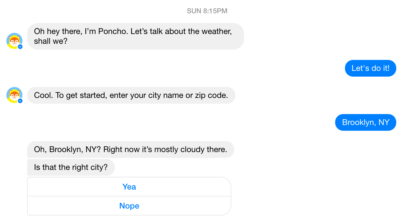 Image of Poncho chat
